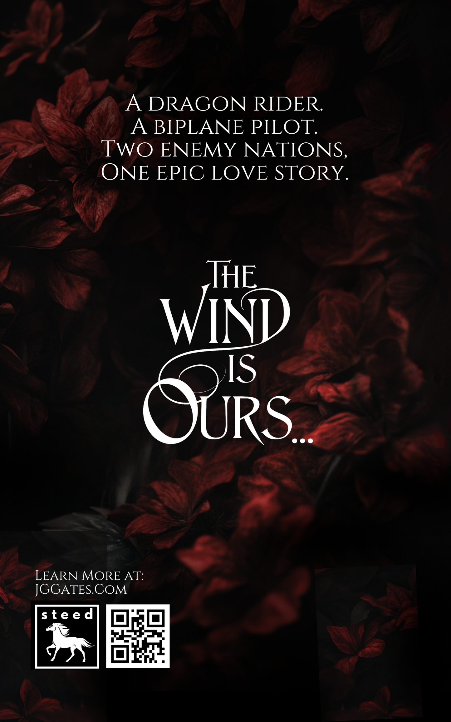 Dragons and Aces: Dragons and Aces Book 1 (Paperback)